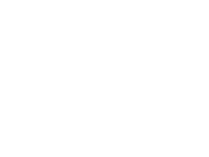 WDtrading