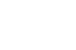 PVermeulen